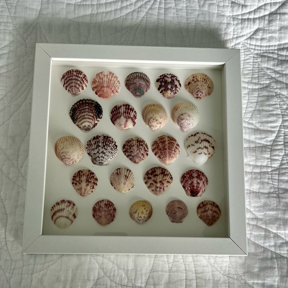 Other - Framed Seashell Art Decor